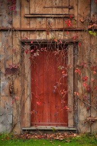 Tajemnicze  drzwi