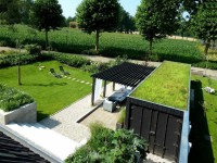 minimalistyczny ogródek