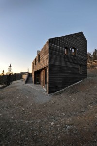 nowoczesny dom z drewna