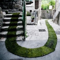 zielony dywan