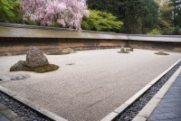 ogród zen