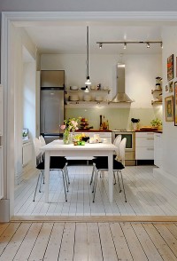 wonderful stylish apartment kitchen design